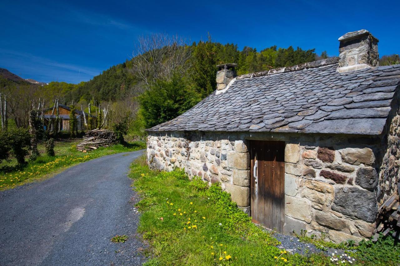Vila La Dormeuse Du Val Chambon-sur-Lac Exteriér fotografie