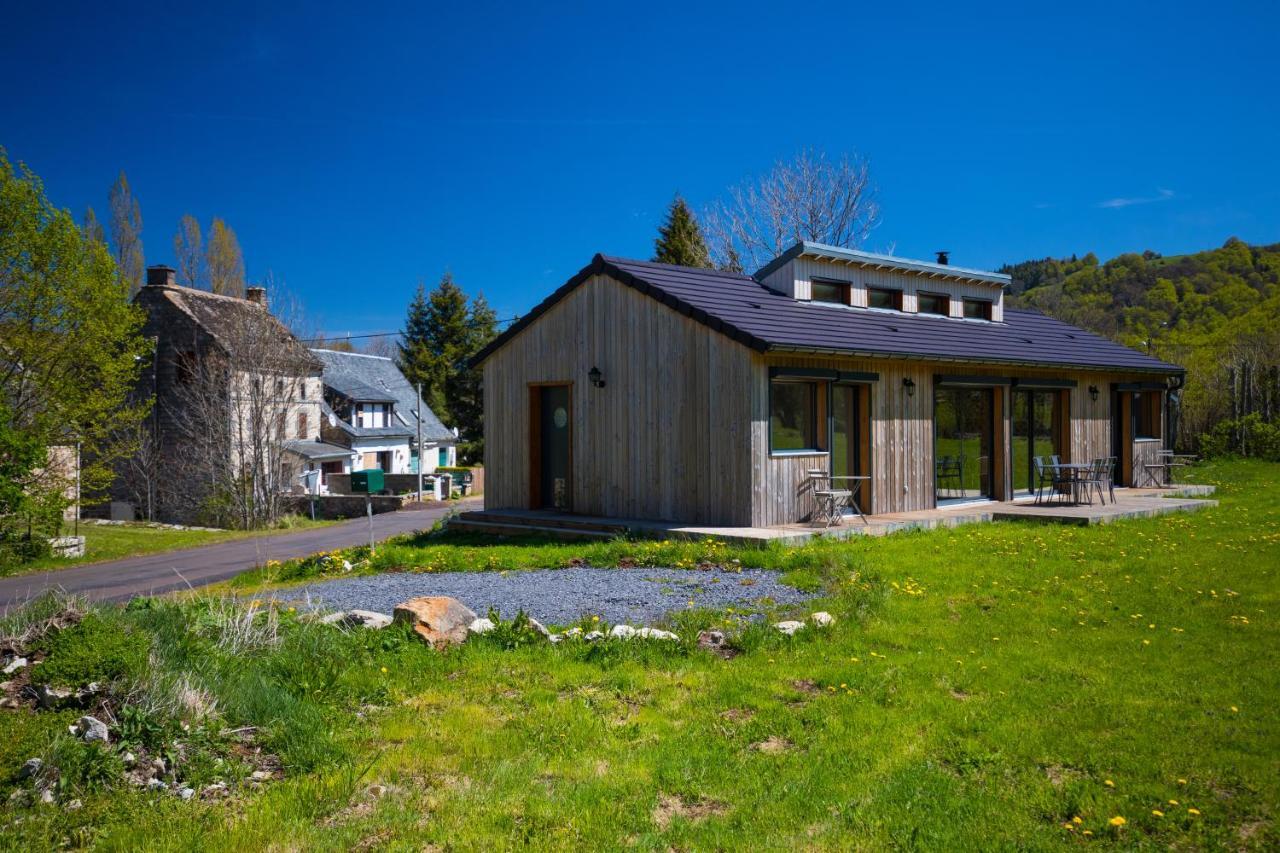 Vila La Dormeuse Du Val Chambon-sur-Lac Exteriér fotografie