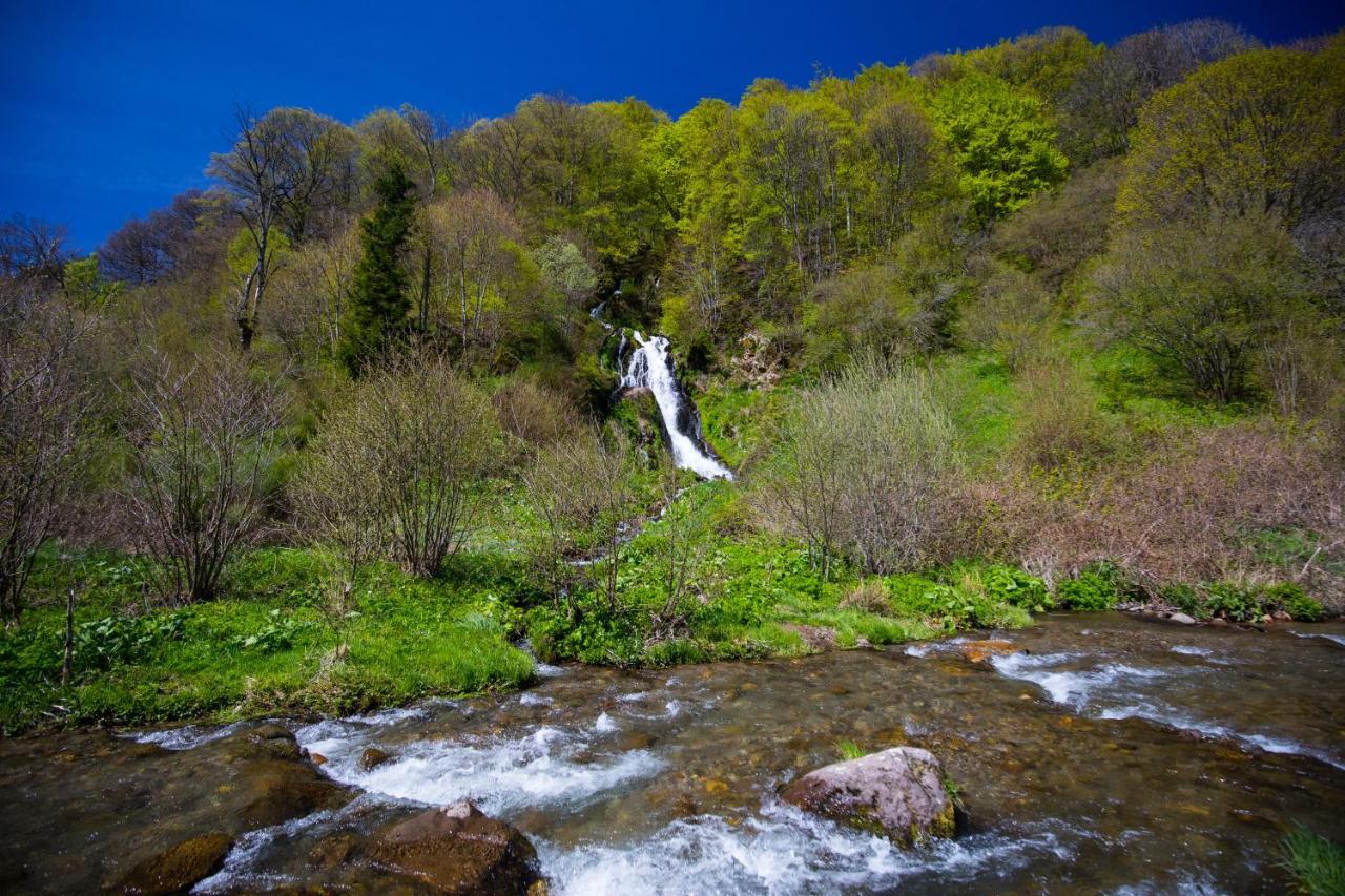 Vila La Dormeuse Du Val Chambon-sur-Lac Exteriér fotografie