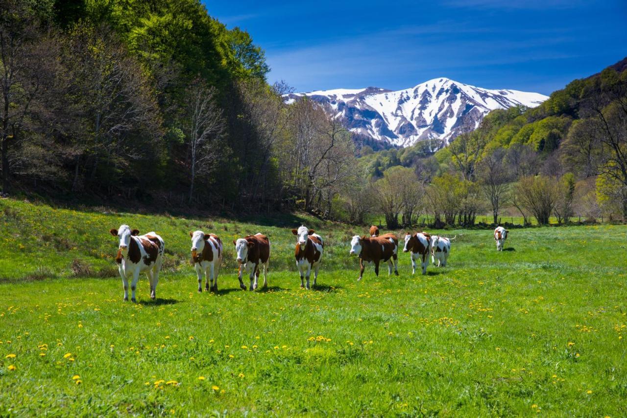 Vila La Dormeuse Du Val Chambon-sur-Lac Exteriér fotografie